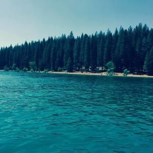 Meet your Posher, Cary